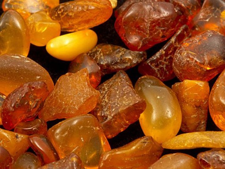 КП «Волиньприродресурс» – один з найбільших платників податків Волинської області