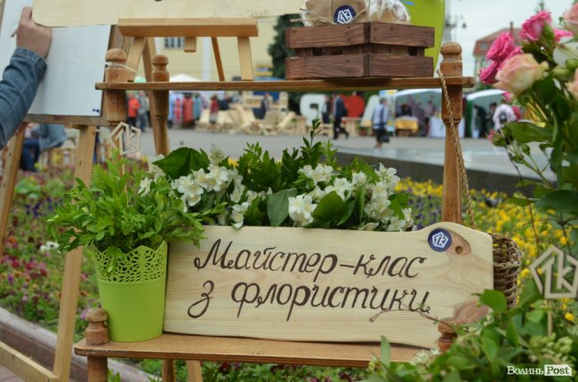 Від мініатюрних тістечок до величезних гойдалок: у центрі Луцька – свято професійної освіти. ФОТО