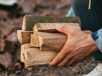 Забезпечення волинян дровами: хто зможе отримати безоплатно і на пільгових умовах