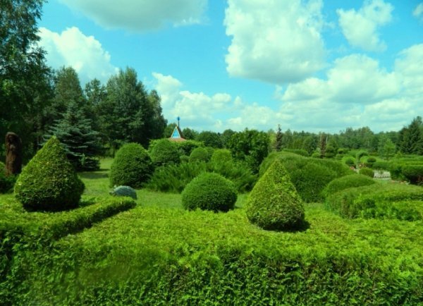 Найкрасивіші дендропарки України, які варто відвідати. ФОТО