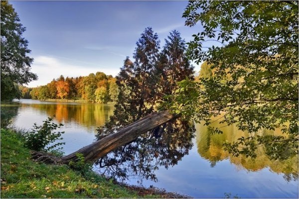 Найкрасивіші дендропарки України, які варто відвідати. ФОТО