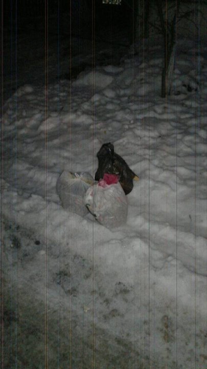 Луцькі муніципали спозаранку полюють на порушників