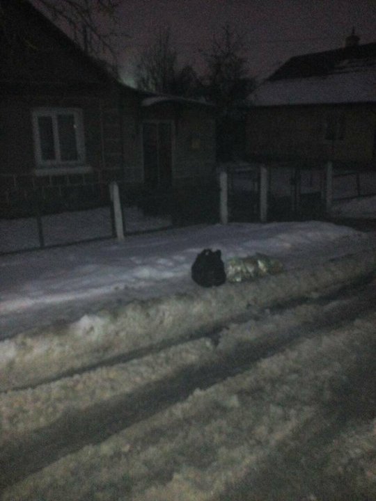 Луцькі муніципали спозаранку полюють на порушників