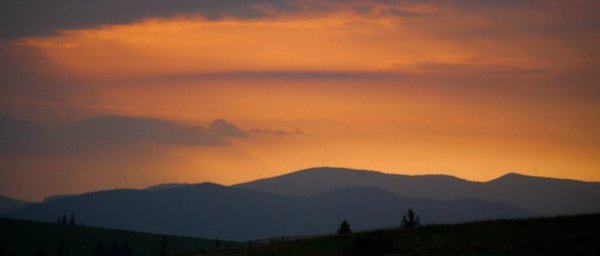 Автор - Віталік Філімонов