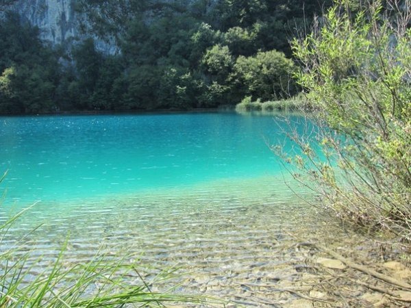 Автор - Ліля Погинець