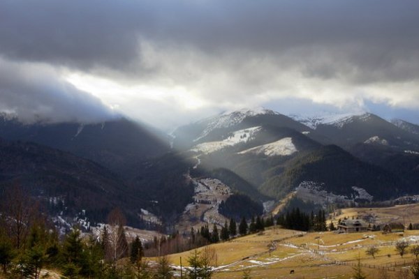 Автор - Тетяна Потапчук