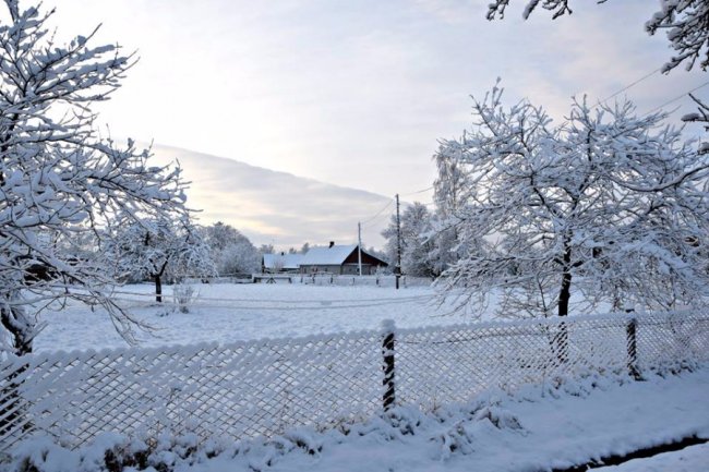 Калинові кетяги і заметені дерева: чудові фото снігопаду на Волині
