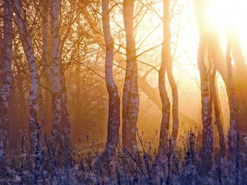 9 квітня – яке сьогодні свято і чому категорично забороняться сваритись в цей день