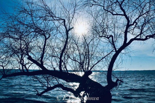 Магічні світлини шацького «блакитного моря» зимою. ФОТО