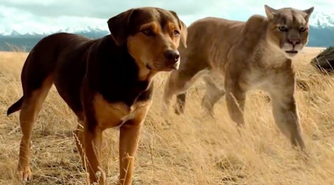 Куди піти на вихідні у Луцьку: 11-13 січня