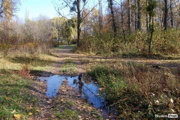 Парк у Луцьку: осіння краса і людська байдужість. ФОТО