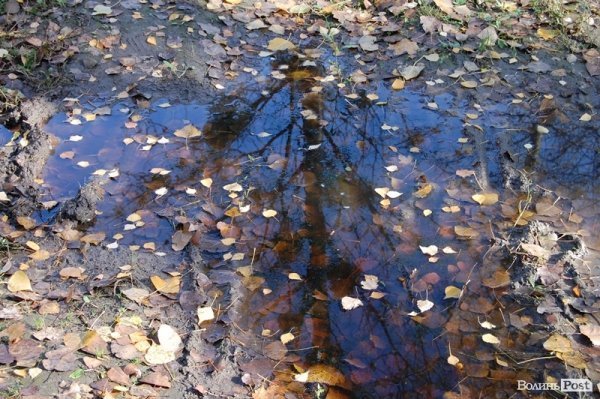 Парк у Луцьку: осіння краса і людська байдужість. ФОТО