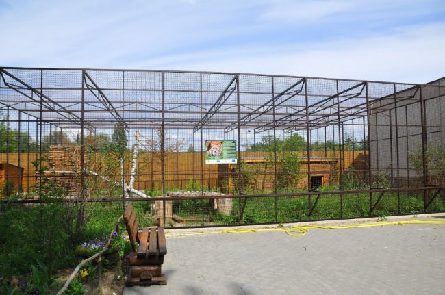 У Луцькому зоопарку  – нова пара закоханих пухнастиків