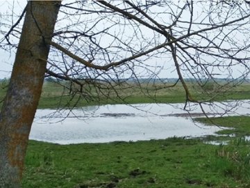 Показали, як за 5 років обміліла волинська річка