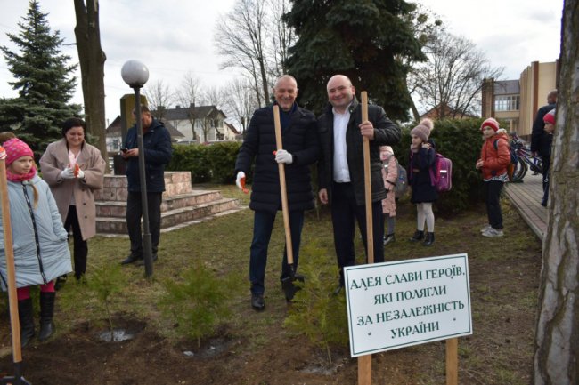 Кожне дерево – як символ Героя: на честь загиблих  волинян висадили алею. ФОТО