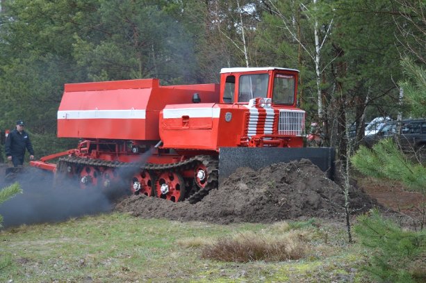 Літо у лісі: відпочивальникам радість, лісівникам – посилена охорона