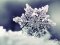 Погода у Луцьку та Волинській області на завтра, 25 січня
