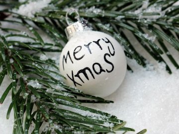 У «Дії» з'явилося опитування про дату святкування Різдва