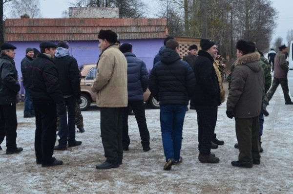 На Волині розкрадають ліс - правоохоронці не реагують. ФОТО