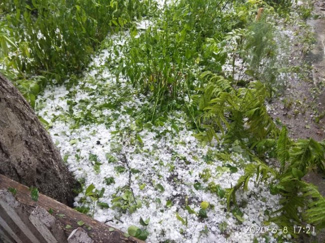 У районі на Волині випав сильний град, побив усю городину. ФОТО