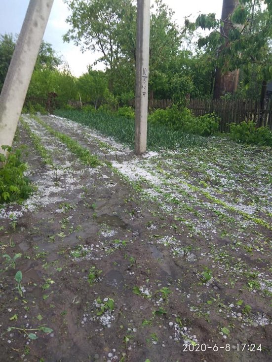 У районі на Волині випав сильний град, побив усю городину. ФОТО