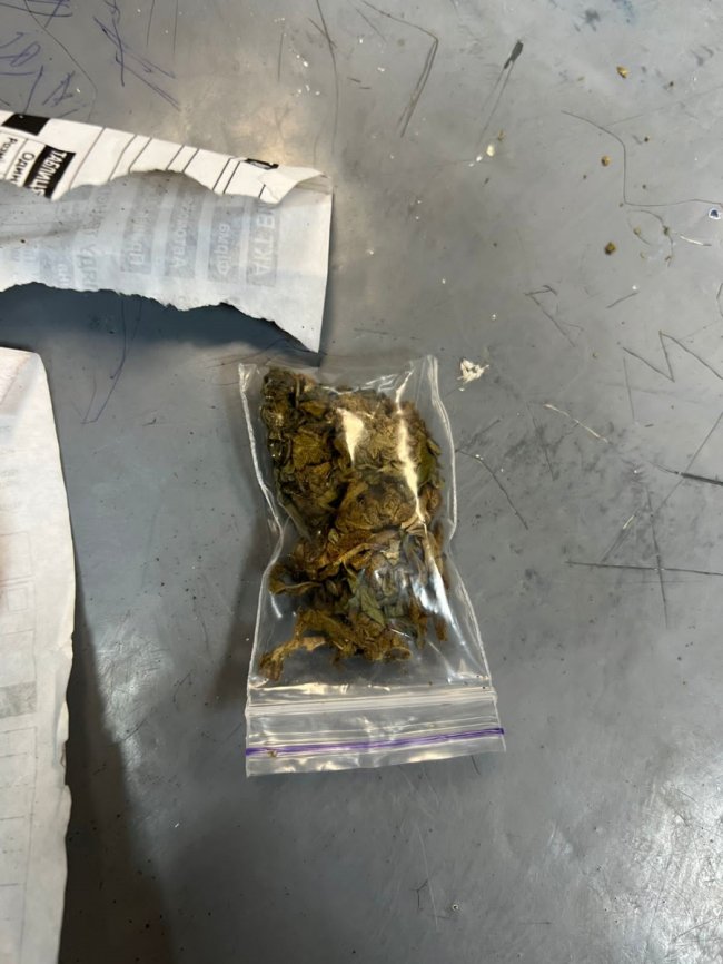 Сховав у футлярі для окулярів: у «Ягодині» прикордонники виявили наркотики в далекобійника