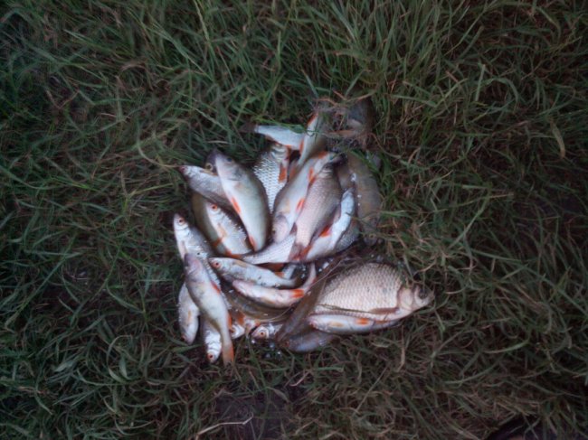 Чинив опір та шарпав інспектора за одяг: на Волині затримали рибного браконьєра