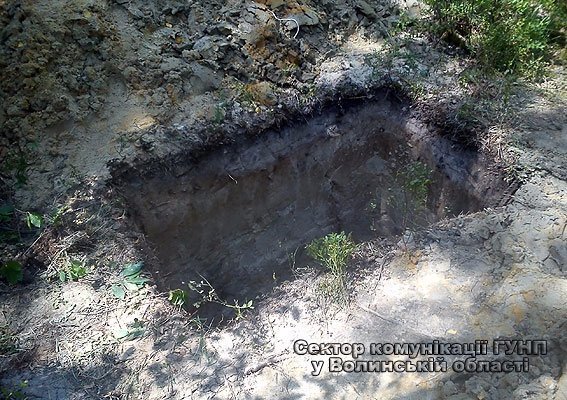 Поліція спіймала бурштинокопачів. ФОТО