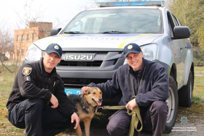 Тваринам потрібен дім: луцьким патрульним влаштували фотосесію з покинутими песиками