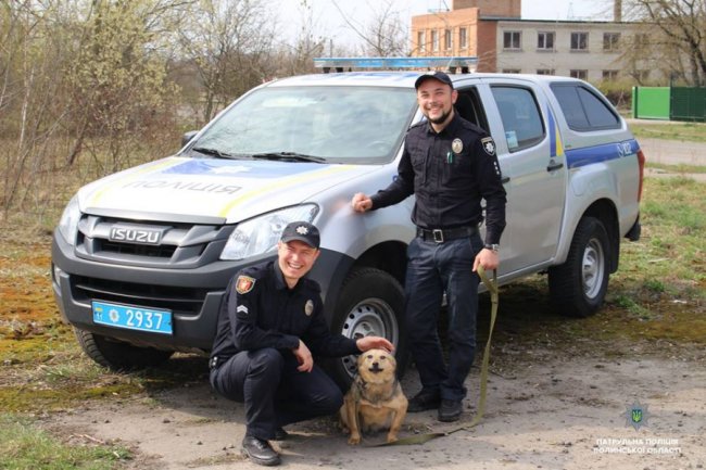 Тваринам потрібен дім: луцьким патрульним влаштували фотосесію з покинутими песиками