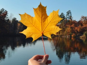 Минулий жовтень у Луцьку був одним із найтепліших