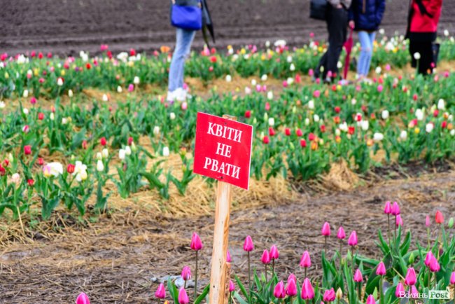 Попри негоду «Волинська Голландія» гостинно зустрічає гостей. ФОТО