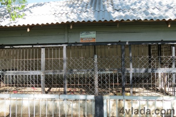 Неприємний запах і бруд у клітках не дають довго затриматись та роздивитись вовків