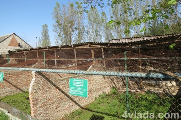 Вольєри птахів зарослі травою, валяється сміття, пляшки, гілляччя, дрючки