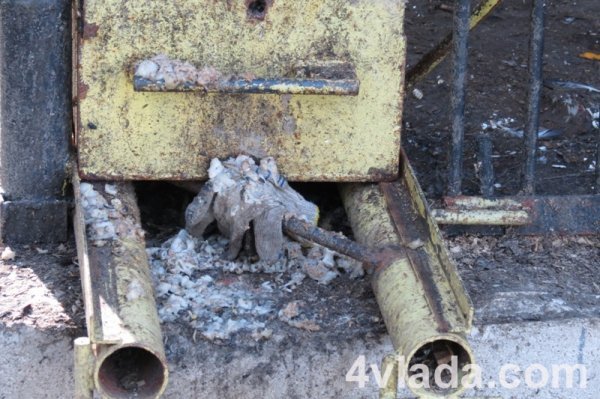 У годівниці ведмедя разом із залишками їжі лежать робочі рукавички