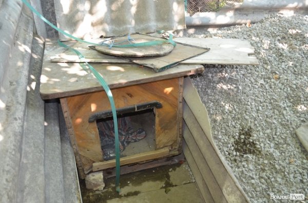 Собаче помешкання вже підсохло