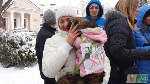 Під Луцькою міськрадою – пікет зоозахисників