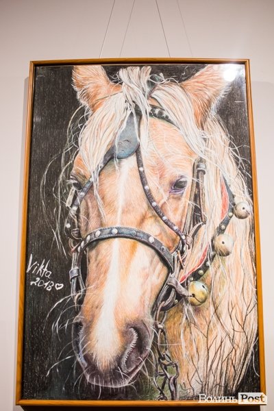 Точність ліній та глибина поглядів: у луцькому «Промені» презентували виставку Вікторії Марценюк