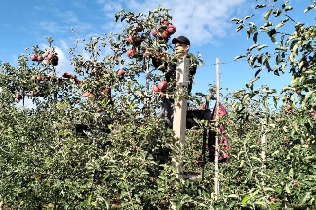 Переселенці і ветерани на Волині опановують агробізнес