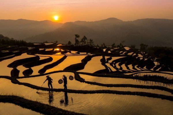 На заході чоловіки полюють на жаб на рисових терасах в китайській провінції Юньнань. (Фото: Shawn Talbot / National Geographic Traveler Photo Contest)