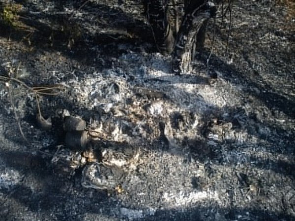 На Сході поранили волинянина. ФОТО