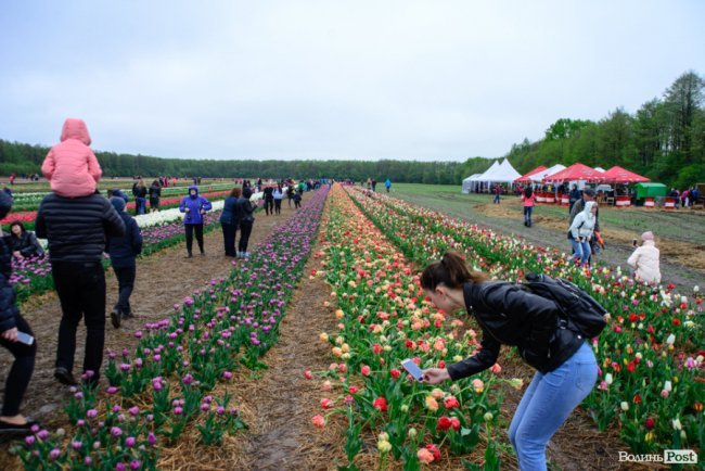 Куди піти на вихідні у Луцьку: 3-5 травня