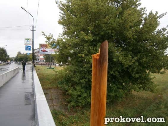 У Ковелі хулігани поглумилися над державною символікою. ФОТО