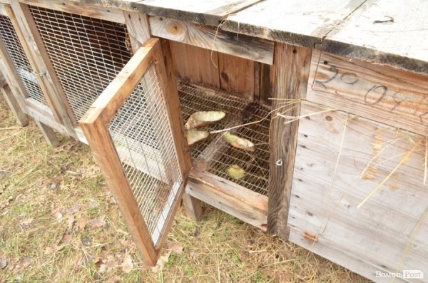 «Межигір'я» по-волинськи: екскурсія лісовими маєтками