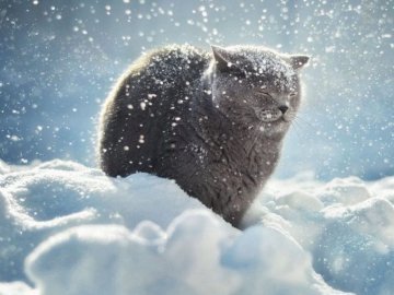 Ще ближче до весни: що чекати від погоди наступного тижня