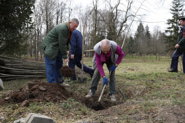 У центральному парку Луцька висадили 300 саджанців дерев
