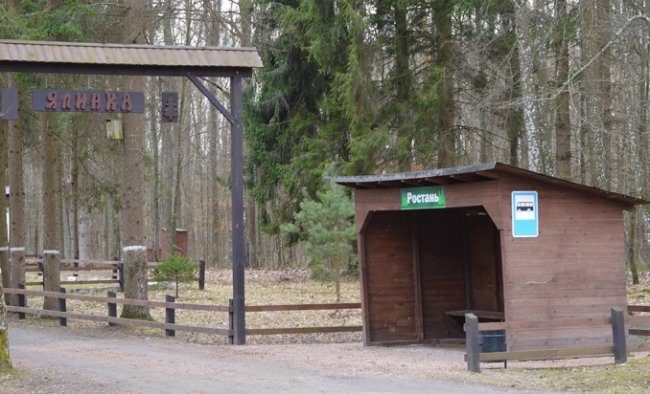 Качки, ставки з рибою і кабан Федір: як на Волині розвивається еко-туризм. ФОТО