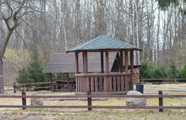 Качки, ставки з рибою і кабан Федір: як на Волині розвивається еко-туризм. ФОТО