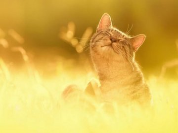 Погода в Луцьку та Волинській області на п'ятницю, 27 березня