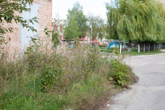 Ігор Чайка: «На «Сільмаші» у Ковелі живуть небайдужі люди, які хочуть, щоб їх почули»*